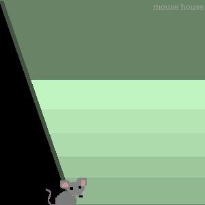 mouse house